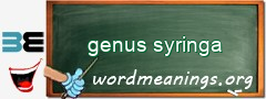 WordMeaning blackboard for genus syringa